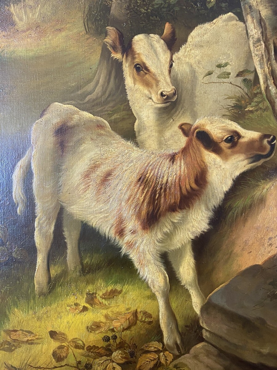 Fine Quality A H Milton Drinkwater Calves In Landscape Oil Painting Dated 1901