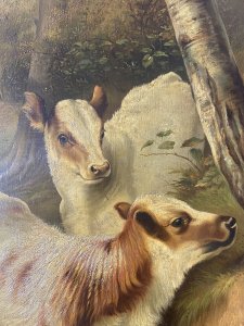 Fine Quality A H MILTON DRINKWATER Calves In Landscape Oil Painting Dated 1901 Circa - Dated 1901 Composition - Framed Oil On Canvas A Exceptional Quality Victorian Original Monumental Oil Masterpiece. Set In Elaborate Carved Acanthus And Laurel Leaf Gilt Frame By Very Well Documented 19th Century Artist A H Milton Drinkwater. The Composition Depicts Two Finely Painted Holstien Calves Standing Next To A Large Stone Boulder As In A Holloway Path With Birch Trees As If Aware Of The Audience . The Animals Are So Finely Painted With Intricate Details Of Their Faces, Fur Coats And Hooves You Would Think They could Step Out Of The Painting. Stunning Perspective And Use Of Light And Shadow In Very Accomplished Brushwork. Fine Quality Collectors Artwork In Impressive Original Condition. Dimensions In Inches Height 50" Width 43" Frame Depth 5"