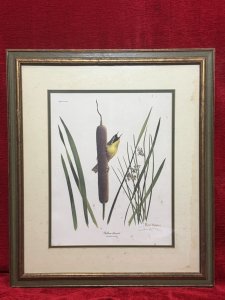 Ornithology Yellow Throat Warbler Coloured Lithograph By Artist Ray Harm Circa - Vintage Dated 1973 Composition - Coloured Lithograph Print Listing Description Bird Watcher Collector Yellow Warbler Lithograph Of Original Watercolour By Artist Ray Harm Signed And Dated By Artist. Set In Glazed Frame. Signs Of Ages And Discolouration Dimensions in Cms Height 57.5cm X Width 47cm