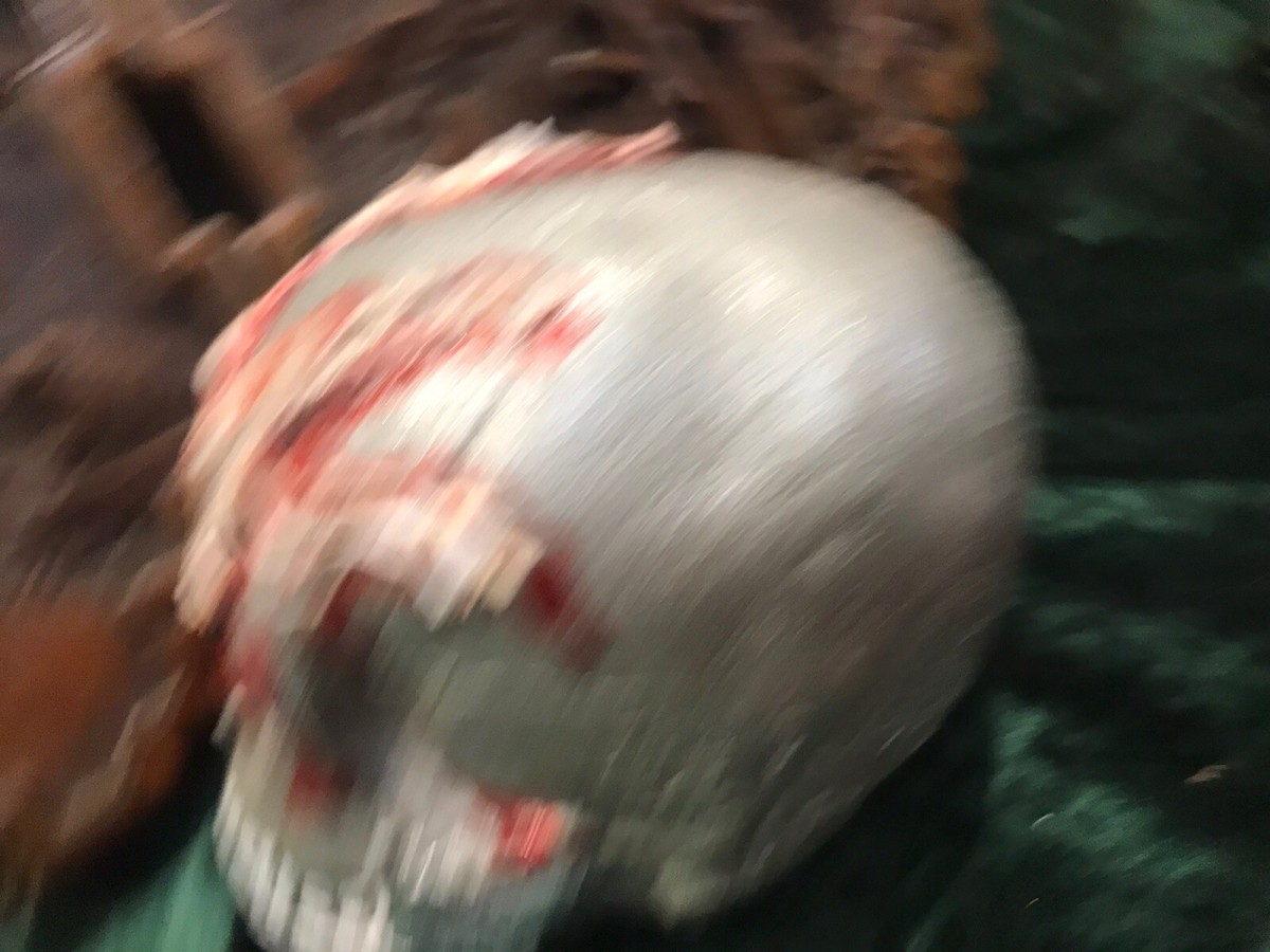 Exciting Macabre Skull Sculpture Used In Theatre Production Hamlet Shakespeare