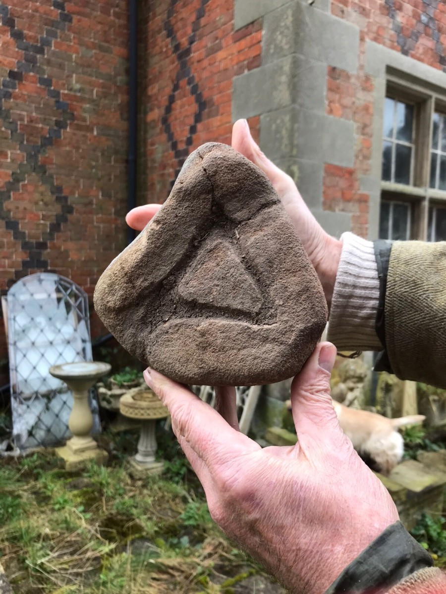 Historical Roman Carved Corbel Head Museum Piece