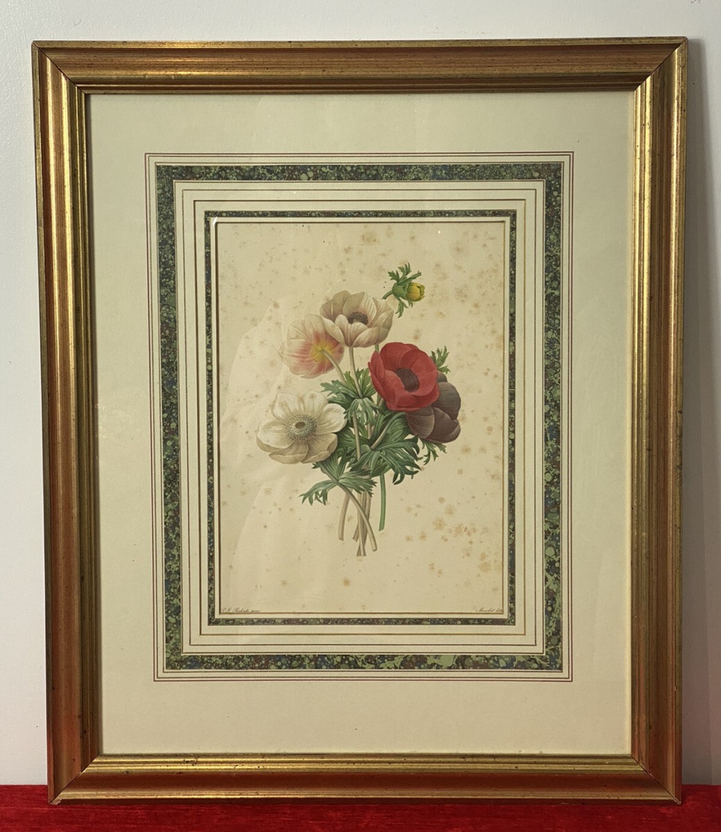 Primary image for Pierre Joseph Redoutè Tulip Posey Original Vintage Lithograph Mounted & Framed