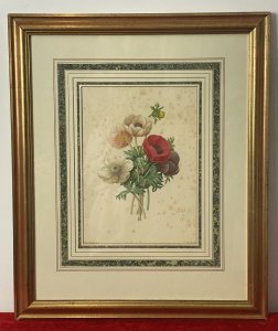 Pierre Joseph Redoutè Tulip Posey Original Vintage Lithograph Mounted & Framed. Composition - Original Printed Lithograph On Velum Circa - 1940’s Beautiful Lithograph Print Of A Posy Of Coloured Poppies Taken From ‘The Jardin De La Malmaison’ Coloured Plates 1798 By Pierre-Joseph Redoutè. This Is A Original Vintage Print Not A Reproduction Copy. Artwork Set In Hand Gilded And Montage Paper Boarder Behind Glass And Displayed In Original Gilt Frame. Brief Artist History Belgian Born Pierre- Joseph Redouté Was A Painter And Botanist. He Was First A Tutor At The Royal Court To French Queen Marie Antoinette. Pierre Became Best Known For His Appointment By Josephine Bonaparte To Paint Flowers From The Garden Of Malmaison Which Was A Horticultural Enclave Containing Over 2000 Plants With 250 Species In France. The Majority Of His Fine Illustrated Works Were Published In ‘The Jardin De La Malmaison’ Books Over A 3 Year Period. Pierre-Joseph Redoutè Is One Of The Most Eminent Botanical Painters Of All Time. Condition - Antique Vintage Showing Signs Of Discolouration And Marks To Paper Due To Age. Dimensions In Inches Frame Height X Width Lithograph Height X Width