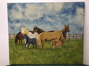 Contemporary Artwork Horses & Ponies Grazing In Field By Artist Paul Evans 7 Horses And Ponies In Fenced Field Lovely Detail With Blue Sky And Wooden Fenced Paddock Signed By Artist Paul Evans From Tipton West Midlands Unframed Lovely Condition Dimensions In Inches Height 20” Width 23”