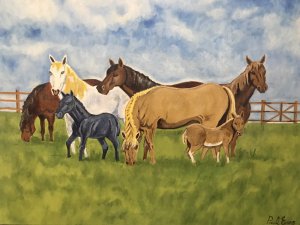 Contemporary Artwork Horses & Ponies Grazing In Field By Artist Paul Evans 7 Horses And Ponies In Fenced Field Lovely Detail With Blue Sky And Wooden Fenced Paddock Signed By Artist Paul Evans From Tipton West Midlands Unframed Lovely Condition Dimensions In Inches Height 20” Width 23”