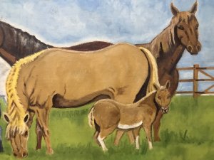 Contemporary Artwork Horses & Ponies Grazing In Field By Artist Paul Evans 7 Horses And Ponies In Fenced Field Lovely Detail With Blue Sky And Wooden Fenced Paddock Signed By Artist Paul Evans From Tipton West Midlands Unframed Lovely Condition Dimensions In Inches Height 20” Width 23”