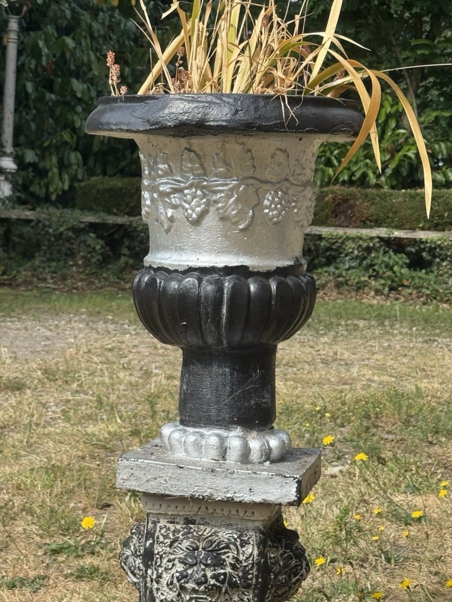 Classical Grape Vine Garden Urns On Plinths