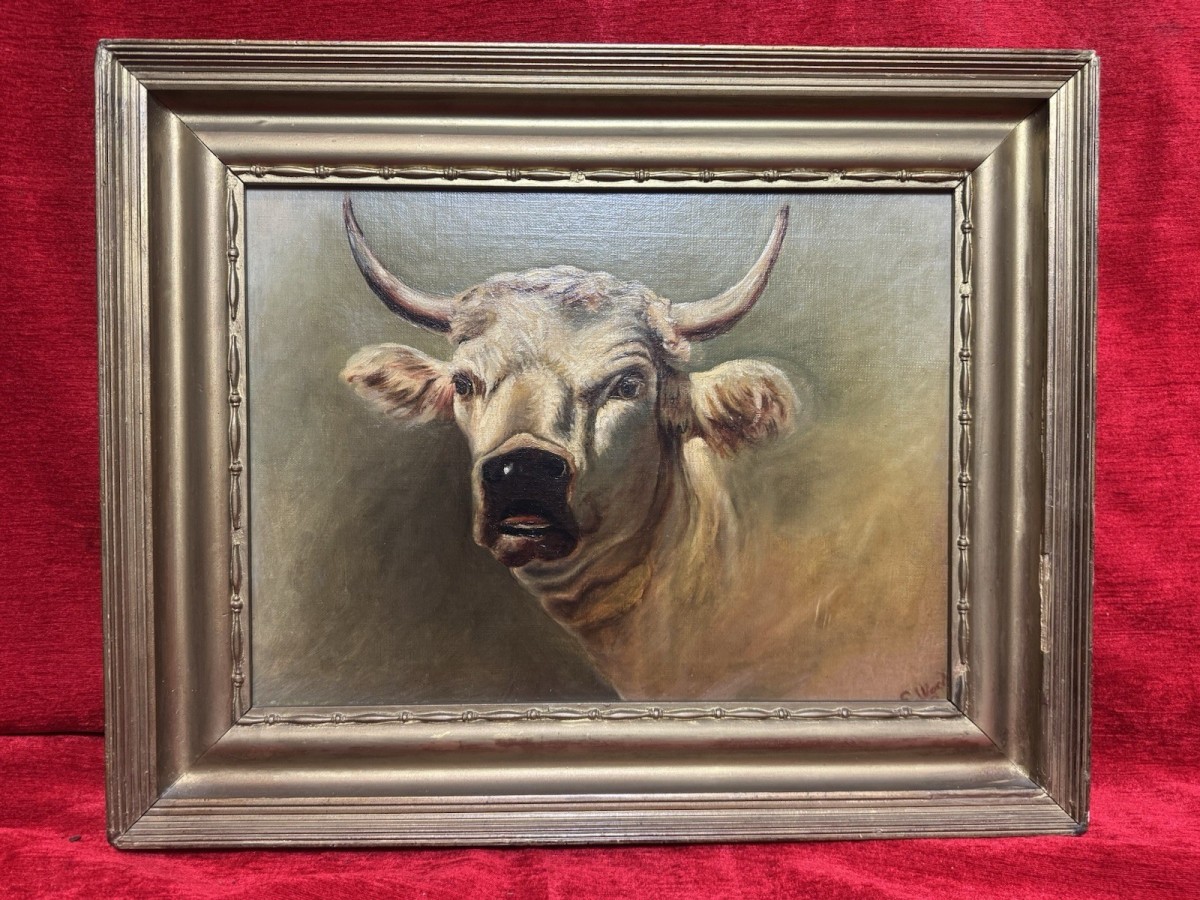 Primary image for 19th Century Prize White Hereford Bull Portrait Oil Painting Signed E Wood