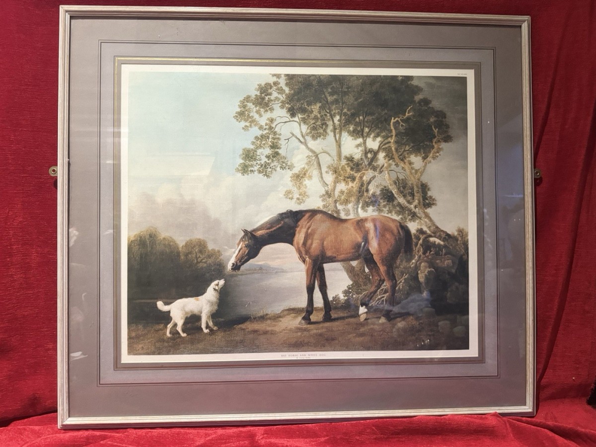 Bay Horse And White Dog By George Stubbs Antique Framed Lithography Print