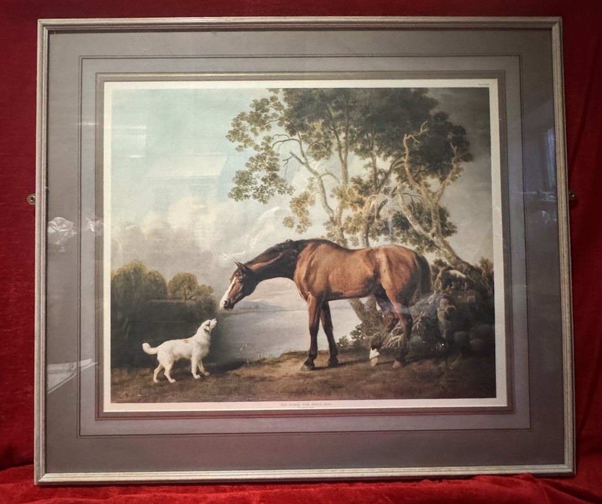 Bay Horse And White Dog By George Stubbs Antique Framed Lithography Print