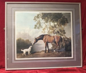 Having Studied Anatomy Stubbs Paintings Of Horses Are Amongst The Most Accurate Ever Painted. Bay Horse & White Dog By Artist George Stubbs Antique Lithograph Print. This Antique Lithograph Captures A Bay Horse And Small White Dog Greeting One Another In A Serene Landscape.