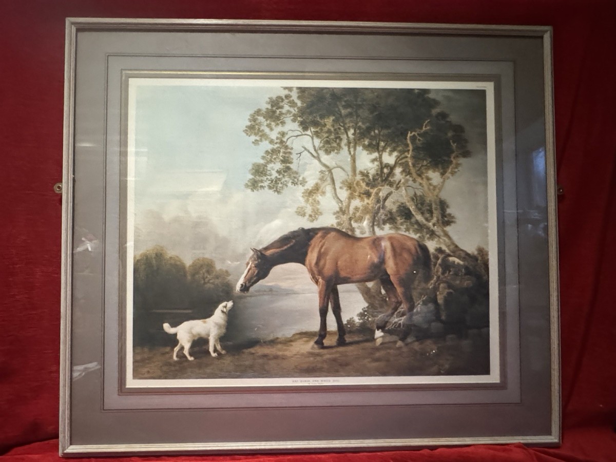 Bay Horse And White Dog By George Stubbs Antique Framed Lithography Print