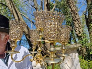 Candelabra branch Length 42cm.