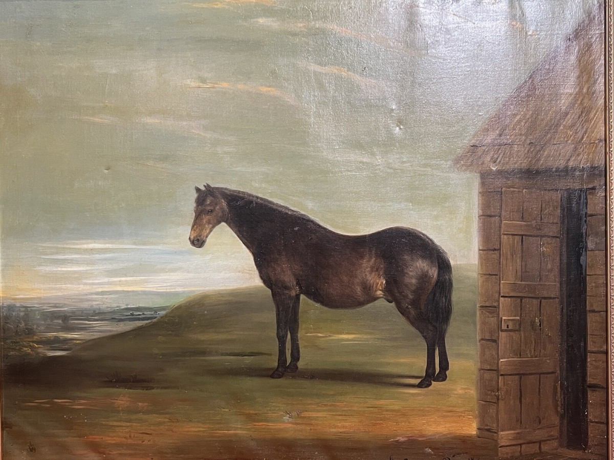 19th Century Oil Painting Of Chestnut Horse By Stable Signed J Carr Pinnit