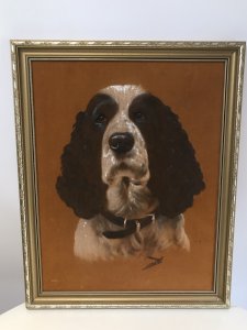 Original Hand Painted Portrait Of A Family Pet Oil Paint On Velvet Of A Cocker Spaniel Life Like Quality Monogrammed By The Artist From A Art Gallery In A Guilt Frame Most Unusual Method Of Painting An Exiting Painting For Any Dog Lover It’s A Dream Come True Dimensions In Inches Height 20 1/4” Width 16 1/4”