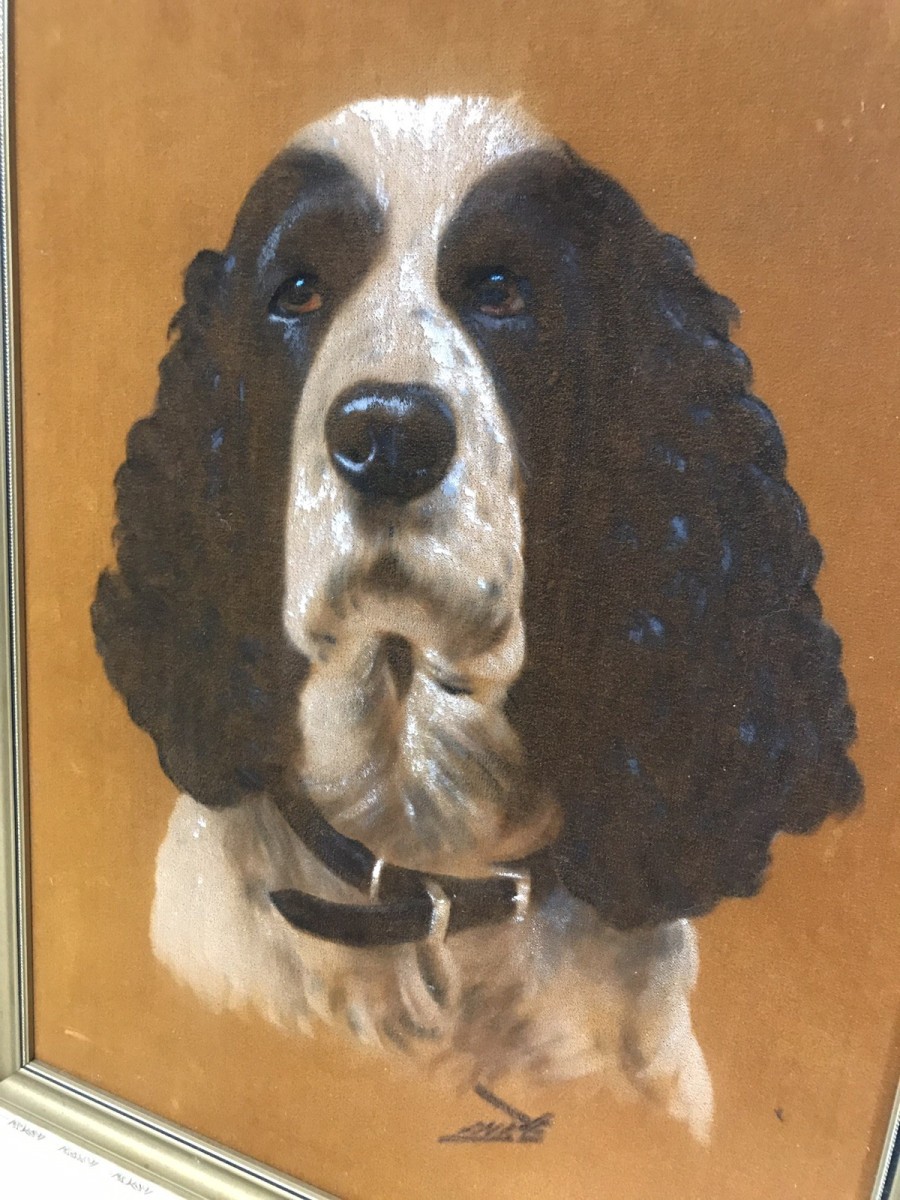 Original Oil Painting On A Velvet Panel Of A Cocker Spaniel